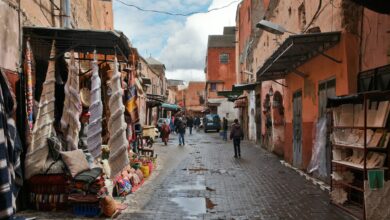 Discover Marrakech: Colorful Souks, Palaces, and Oasis Escapes