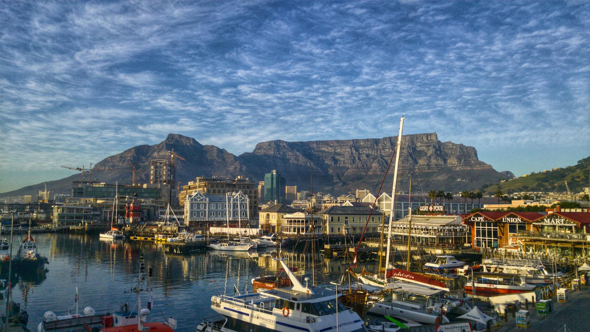 Unwind in Cape Town: Beaches, Mountains, and Wine Country Adventures