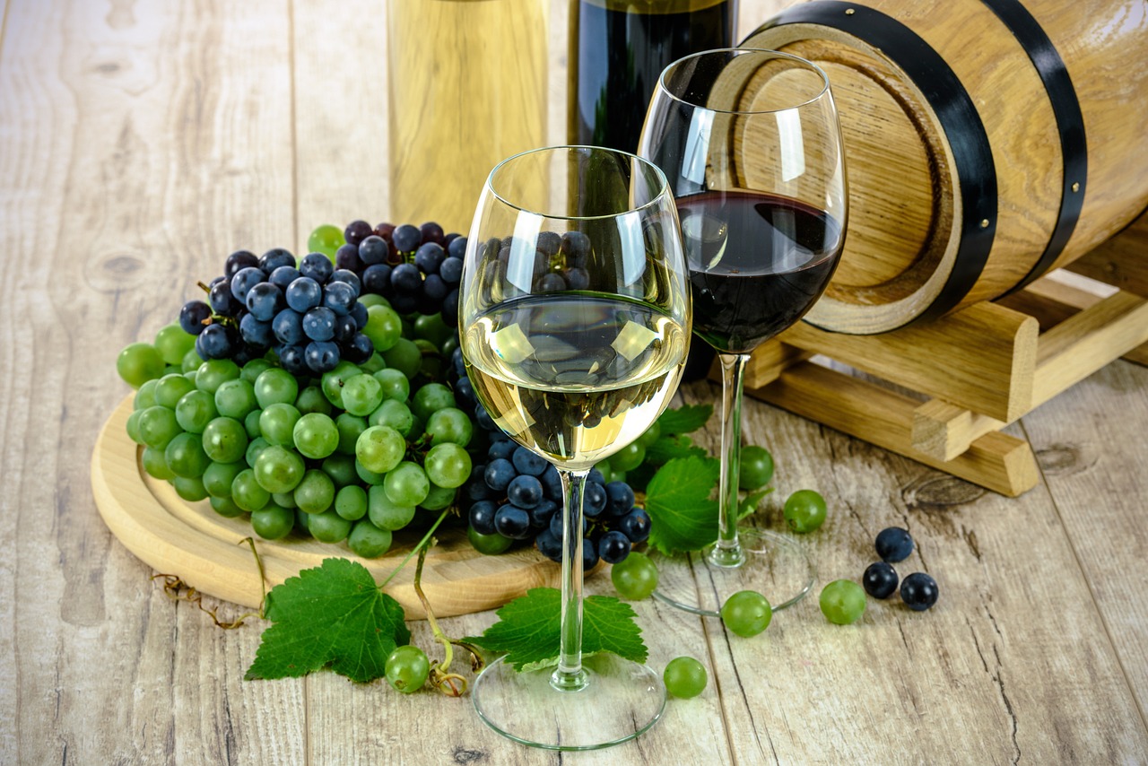 Indulge in World-Class Wine Tasting