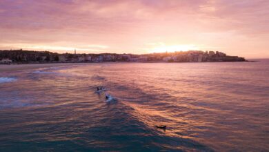 Sydney Highlights: Best Beaches, Views, and Local Tips