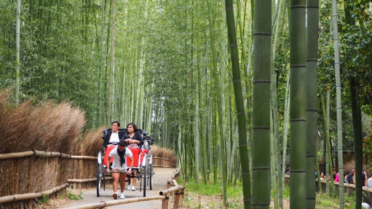 Explore the Hidden Gems of the World with WanderWishes