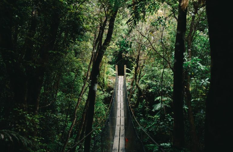 Discover Your Next Dream Destination with WanderWishes